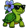 Turtle with Hibiscus Flower