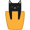 Cat In The Breast Pocket