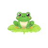 Frog Catcher Puddle Watcher Frog