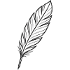 Black Feather Silhouette