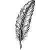 Shimmering Feather in Black
