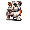 Snakk med eieren av Paw English Bulldog Bully