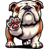 English Bulldog Bully Bully Owner Bullyfan