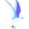 pigeon