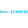 Bull Terrier Bullterrier