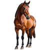 Cheval