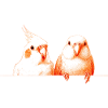 Birdies