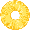 Pineapple Slice in Tropical Illustration Style