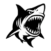 Shark with open mouth showing teeth