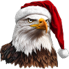 Eagle Christmas