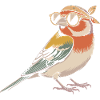 Retro Bird with Bandana
