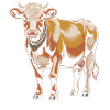 Vache avec bandana – Illustration rustique