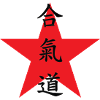 Aikido - Martial Art - Aikido
