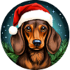 Noël teckel