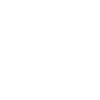 Corgi Haare