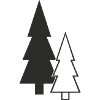 Forest Silhouette Fir Trees