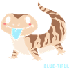 Blue Tongue Lizard