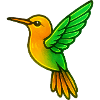 Hummingbird Bird