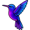 Colibri néon