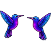 Hummingbird Bird