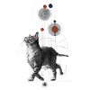 Chat mystique dans l’univers géométrique