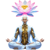 Cybermystical Lotus Meditation