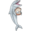 Dolphin Pearl