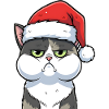 Annoyed Cat with Hat Christmas Cartoon