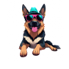Sunglasses Shepherd Dog