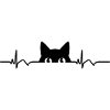 Cat ECG Heart Rate Heartbeat