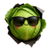 cabbage