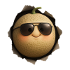 Melon cantaloup