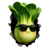 Bok Choy Pak Choi