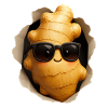gingembre