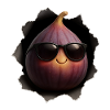 Fig