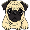 Pug Dogs T-shirt Gift Christmas