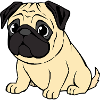 Pug Dogs T-shirt Gift Christmas