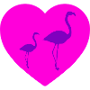 Flamants roses