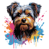 Yorkshire Terrier Splash Style