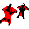 wingsuit