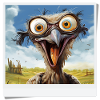 Oiseau rieur aux grands yeux