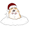 Christmas hamster in the snow