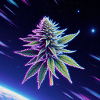 Feuille de cannabis néon spatiale