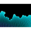Neon Korallenwand