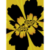Yellow Black Flower