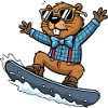Cool Snowboard Beaver Comic Sunglasses