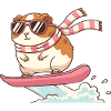 Cool Surf Guinea Pig With Sunglasses