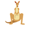 Kangaroo G'DAY Mate Shirt