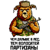 Partizan bear with guarantee. "Чем дальше в лес..."