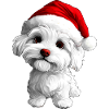 Noël chiot